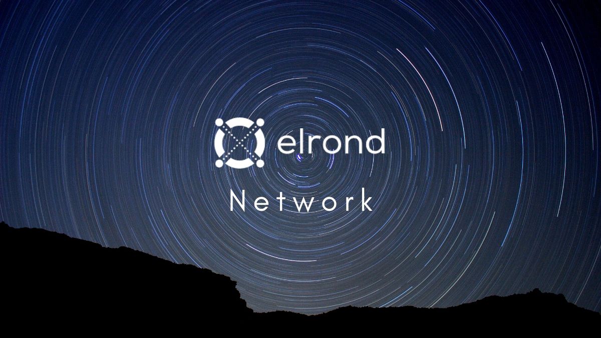 What is Elrond Network (ERD)?
