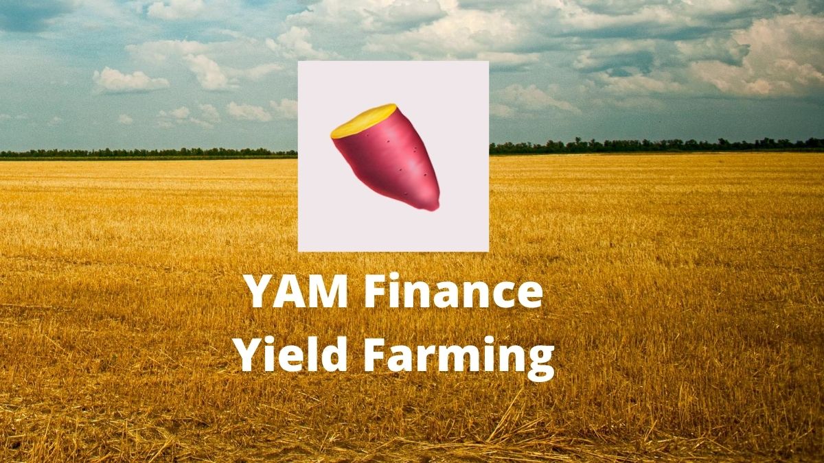 Yam Finance – Elastic Supply Token gone wrong