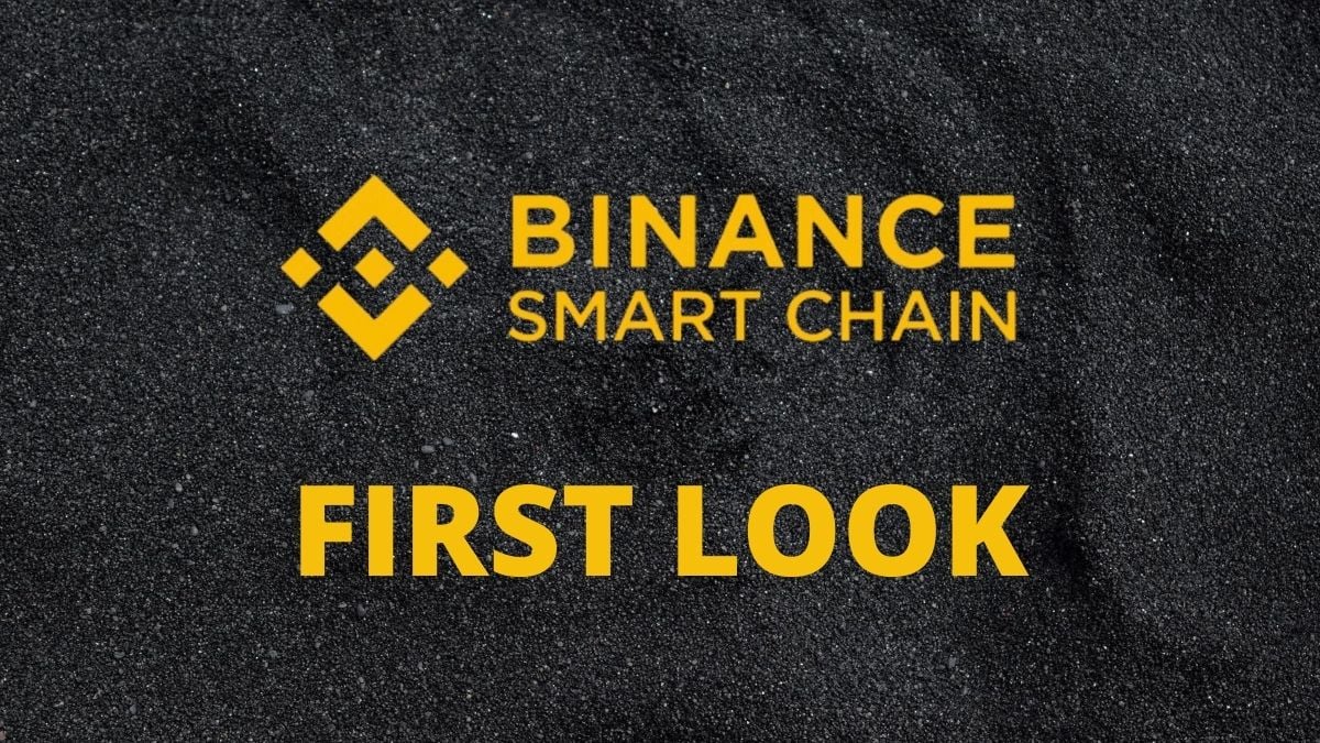 Binance Smart Chain: First look