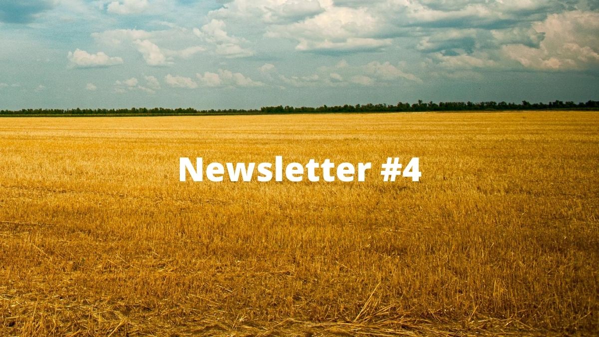 Newsletter #4