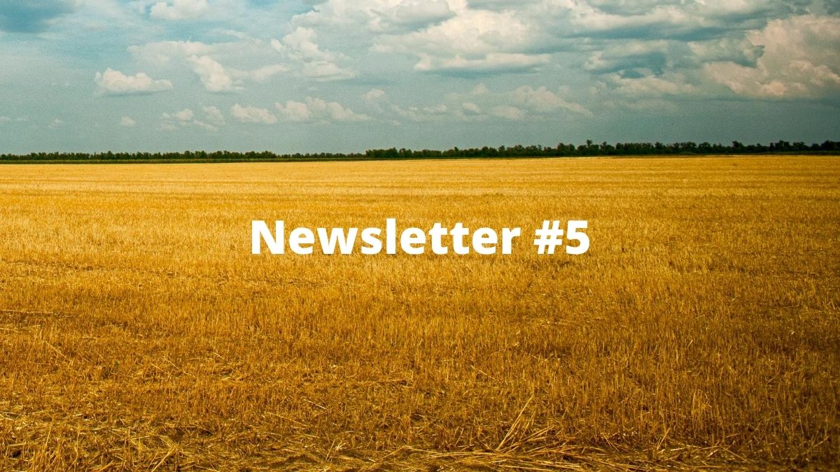 Newsletter #5