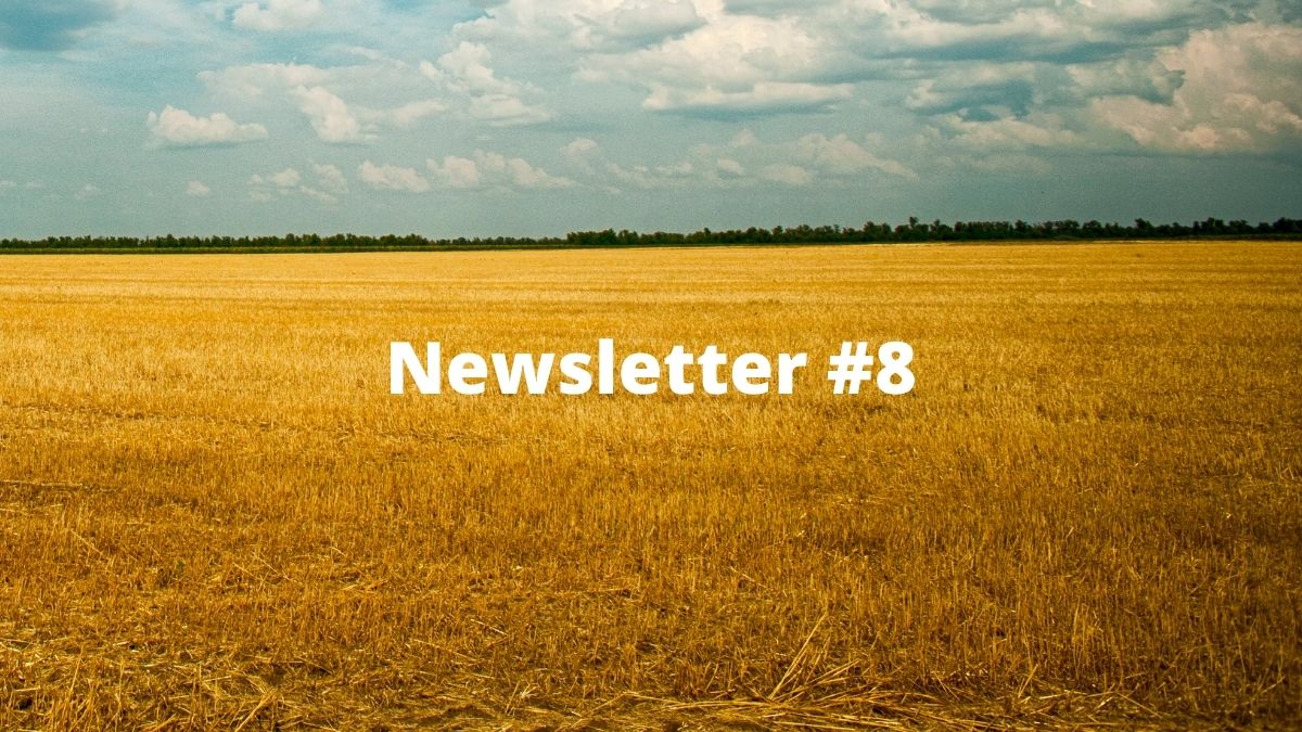 Newsletter #8