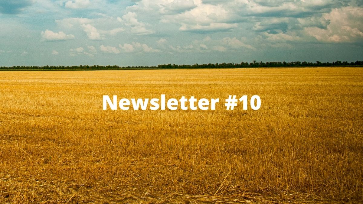 Newsletter #10
