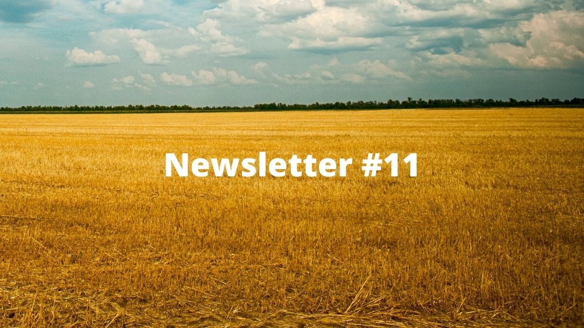 Newsletter #11