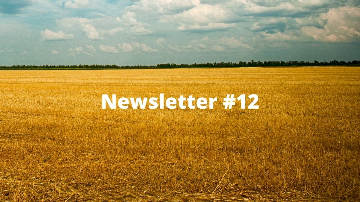 Newsletter #12