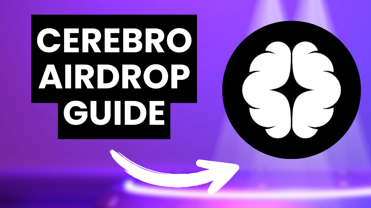 Cerebro Potential Airdrop Full Guide